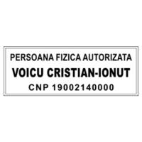Stampila dreptunghiulara Printer 10 mostra